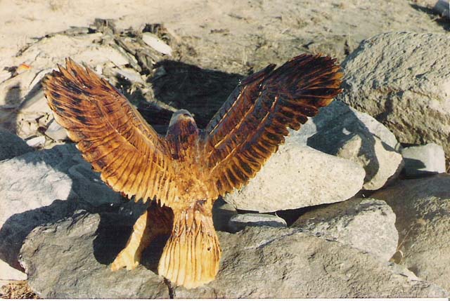 Eagle In Flight